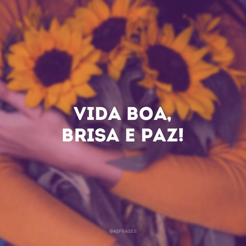 Vida boa, brisa e paz!