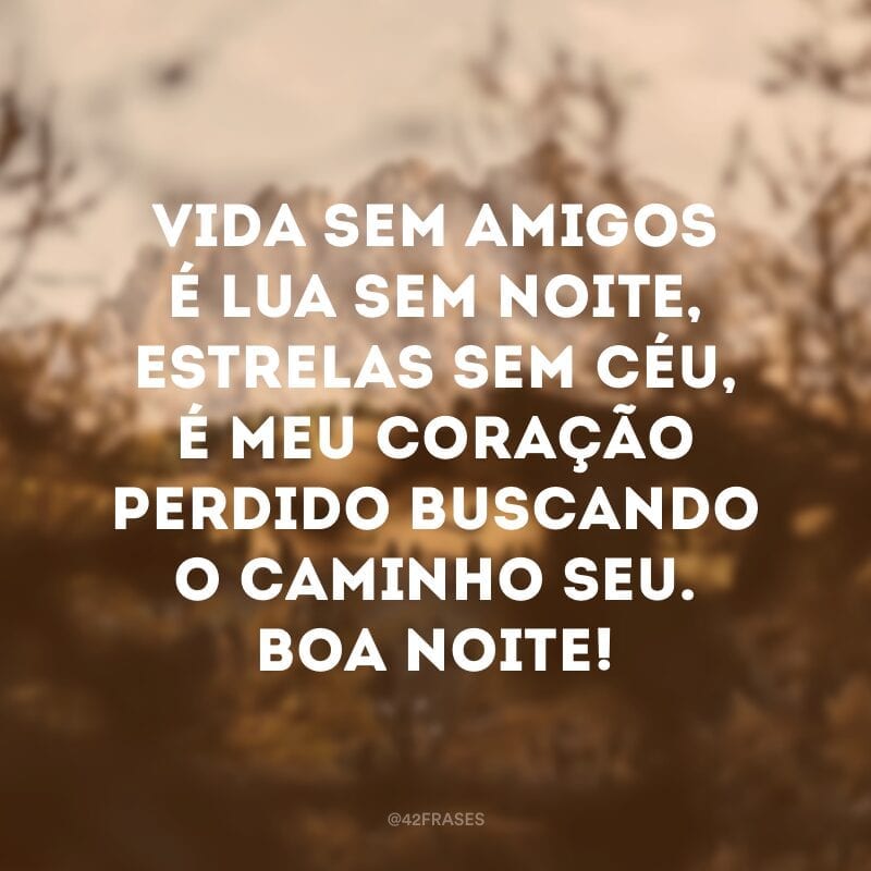 Vida sem amigos é lua sem noite, estrelas sem céu, é meu coração perdido buscando o caminho seu. Boa noite!