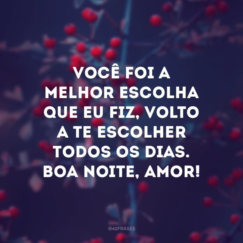 Você foi a melhor escolha que eu fiz, volto a te escolher todos os dias. Boa noite, amor!