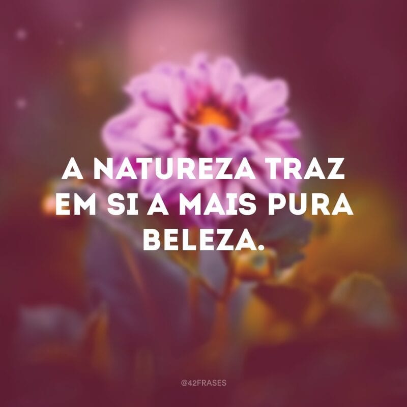 A natureza traz em si a mais pura beleza.