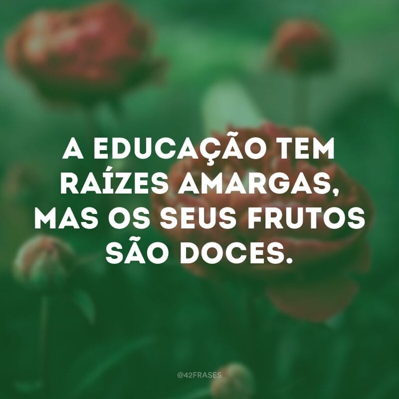 A educação tem raízes amargas, mas os seus frutos são doces.