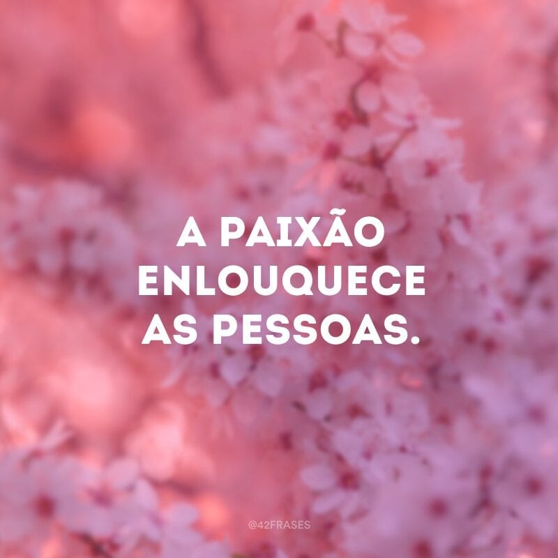 A paixão enlouquece as pessoas.