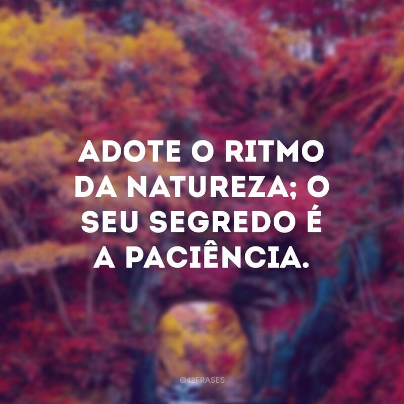 Adote o ritmo da natureza; o seu segredo é a paciência.