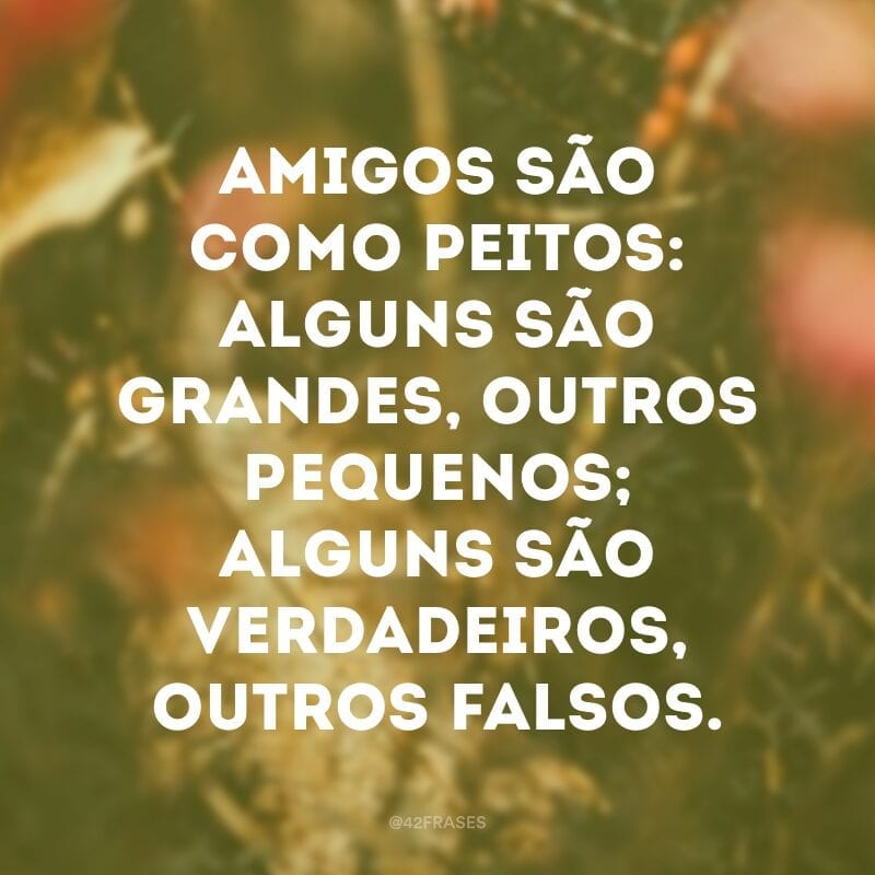 Amigos são como peitos: alguns são grandes, outros pequenos; alguns são verdadeiros, outros falsos.