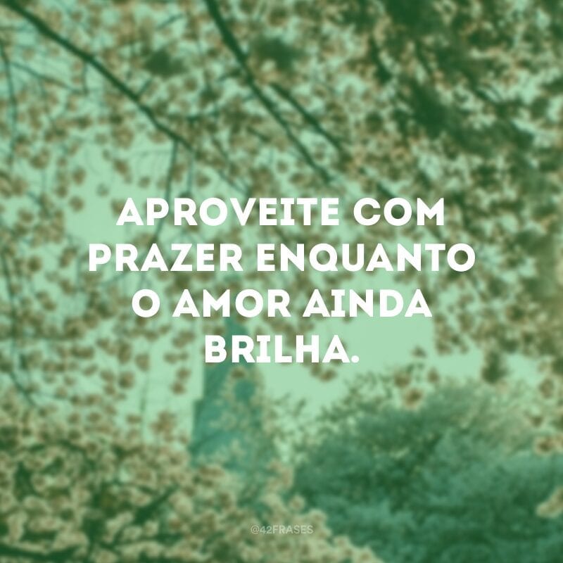 Aproveite com prazer enquanto o amor ainda brilha.