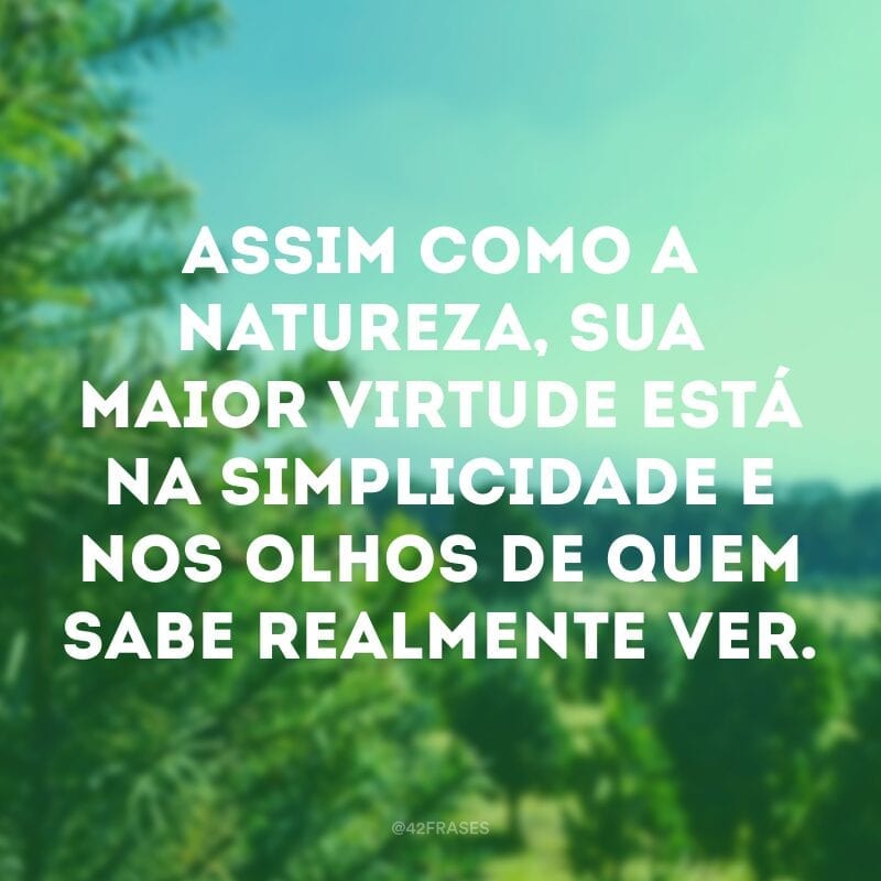 Assim como a natureza, sua maior virtude está na simplicidade e nos olhos de quem sabe realmente ver.