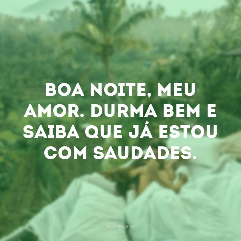 Boa noite, meu amor. Durma bem e saiba que já estou com saudades. 