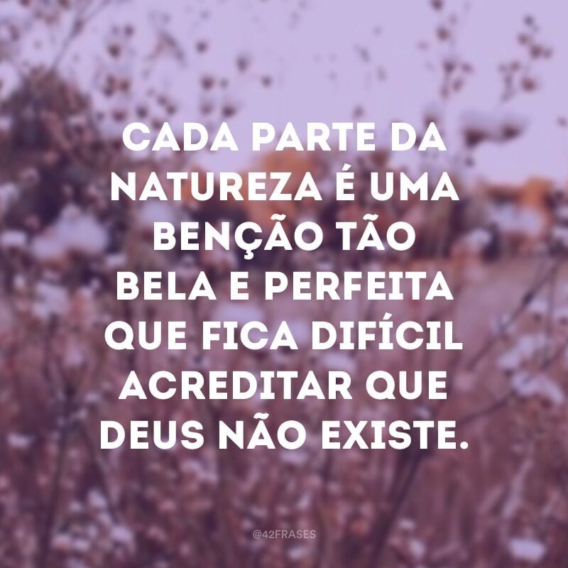 Cada parte da natureza é uma benção tão bela e perfeita que fica difícil acreditar que Deus não existe.