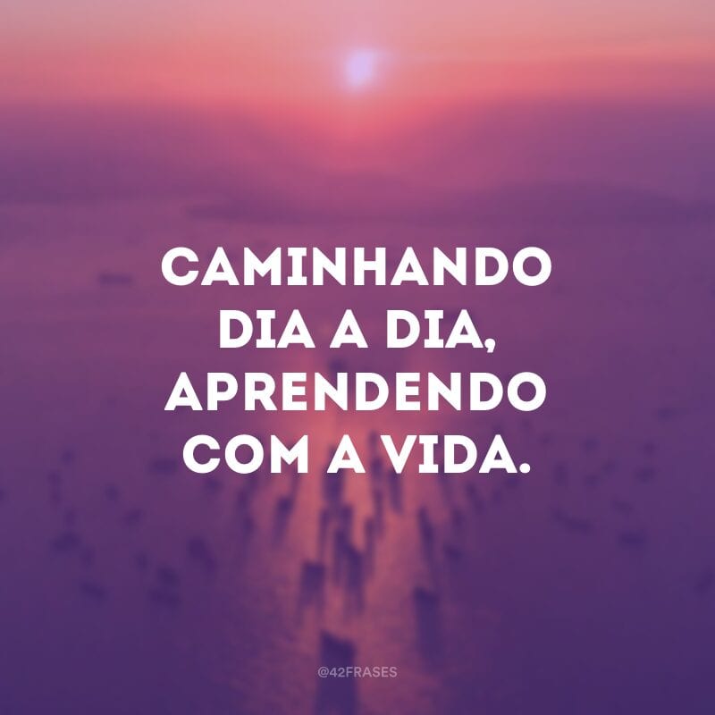 Caminhando dia a dia, aprendendo com a vida.