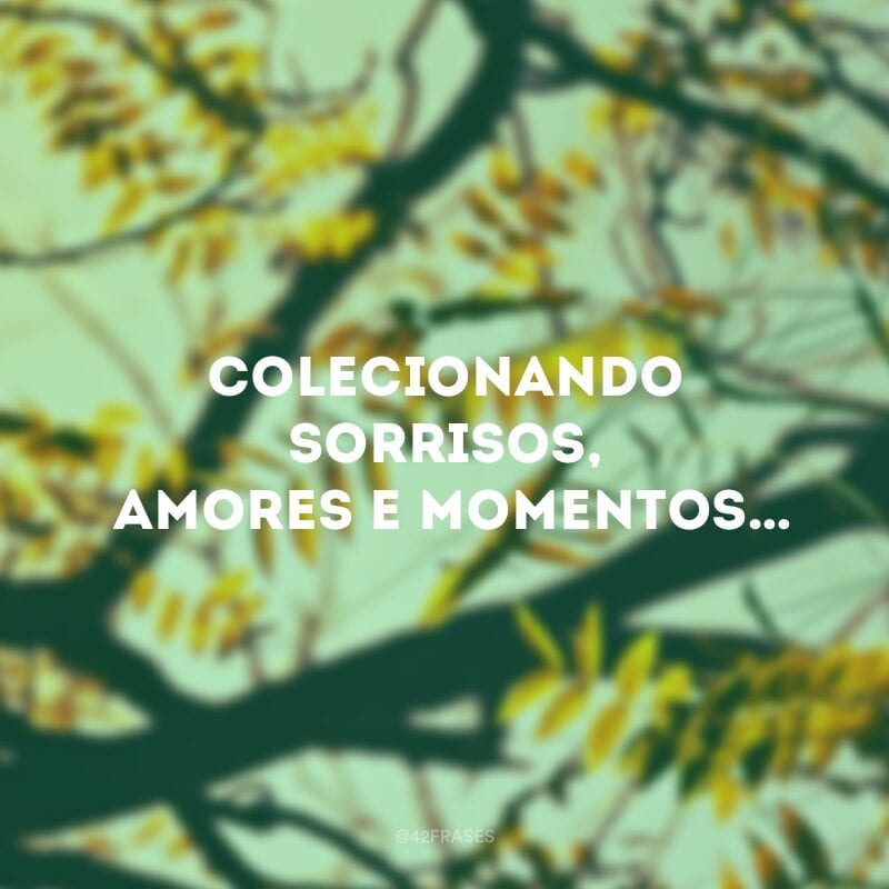 Colecionando sorrisos, amores e momentos…