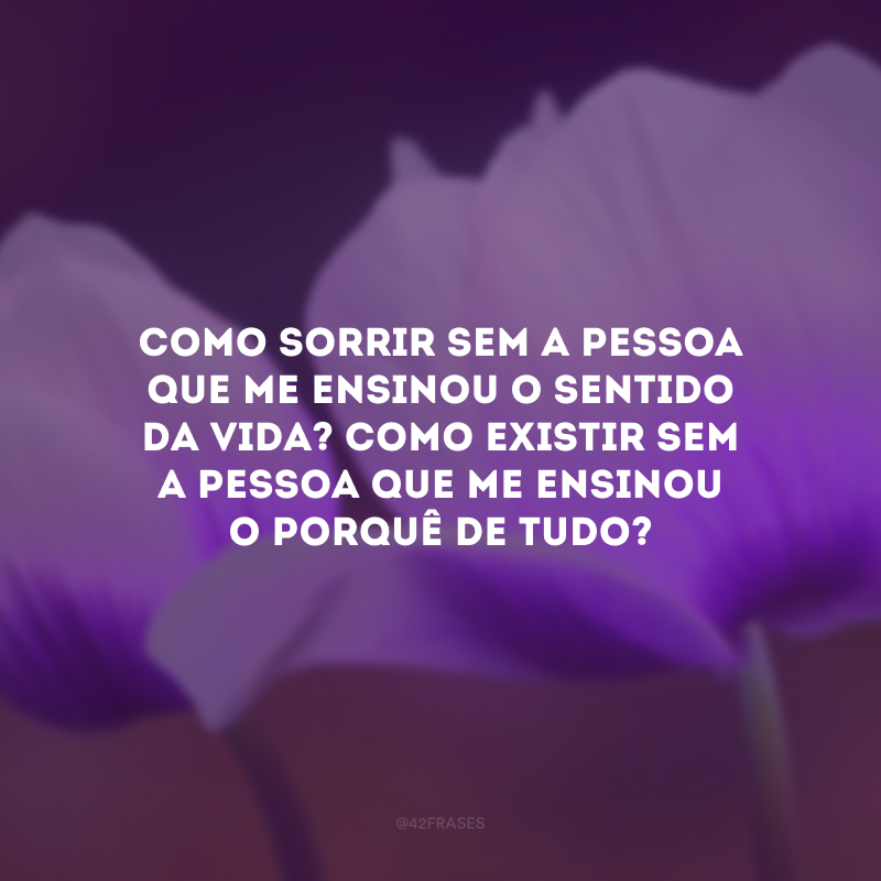 Como sorrir sem a pessoa que me ensinou o sentido da vida? Como existir sem a pessoa que me ensinou o porquê de tudo?