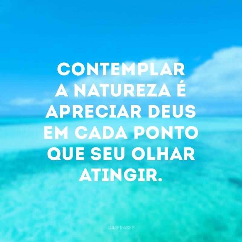 Contemplar a natureza é apreciar Deus em cada ponto que seu olhar atingir.