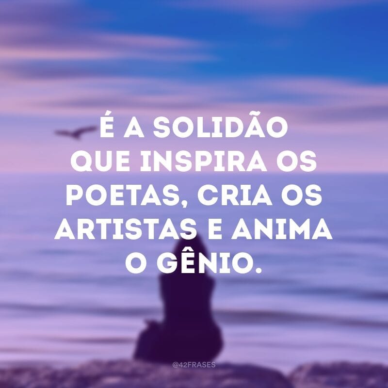 É a solidão que inspira os poetas, cria os artistas e anima o gênio. 