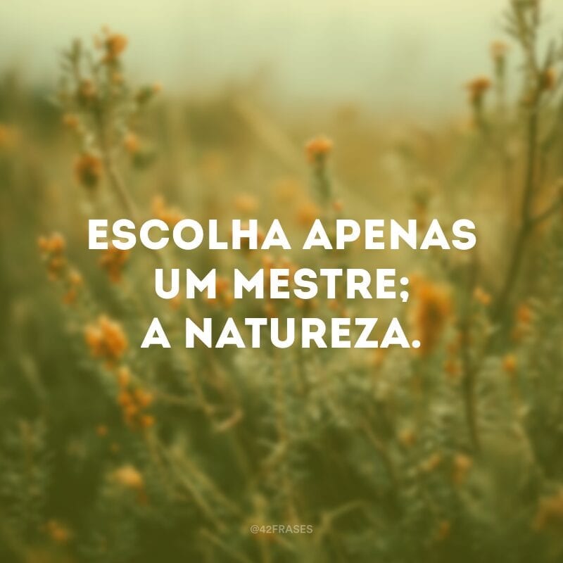 Escolha apenas um mestre; a natureza.