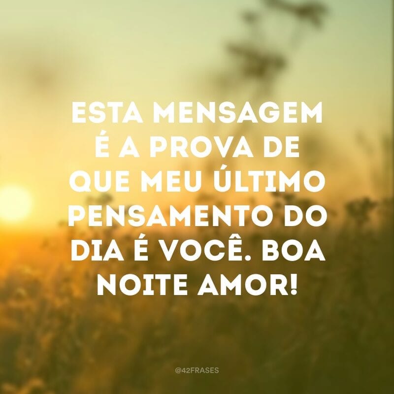 Esta mensagem é a prova de que meu último pensamento do dia é você. Boa noite amor!