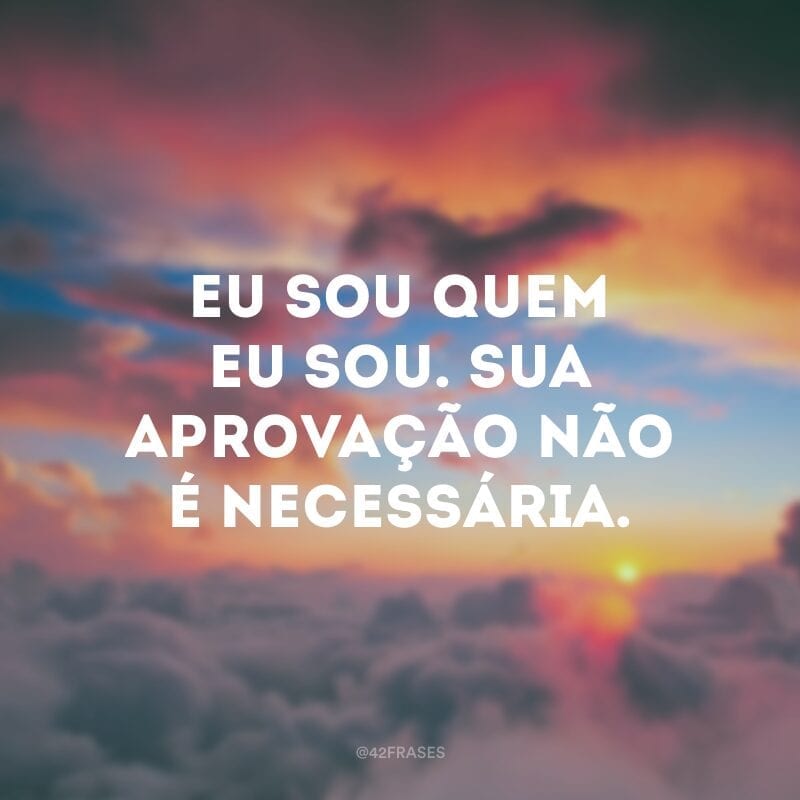 Eu sou quem eu sou. Sua aprovação não é necessária.