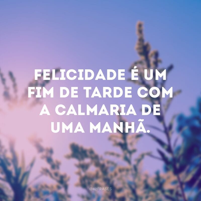 Felicidade é um fim de tarde com a calmaria de uma manhã.