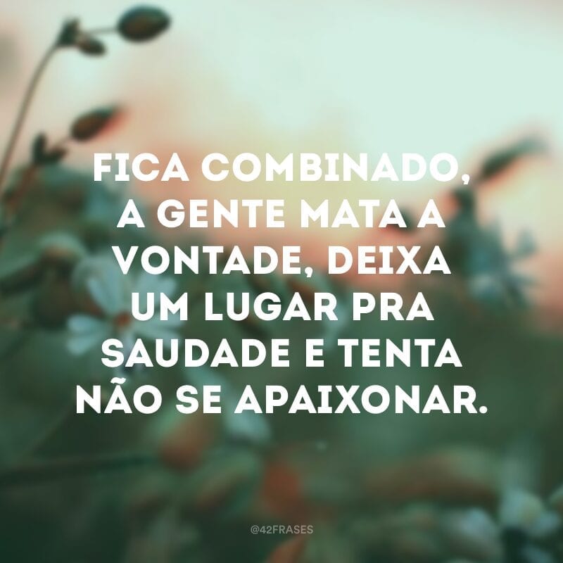 Fica combinado, a gente mata a vontade, deixa um lugar pra saudade e tenta não se apaixonar.