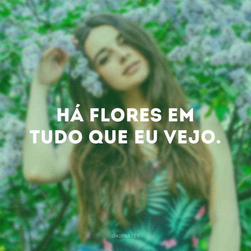 Há flores em tudo que eu vejo. 