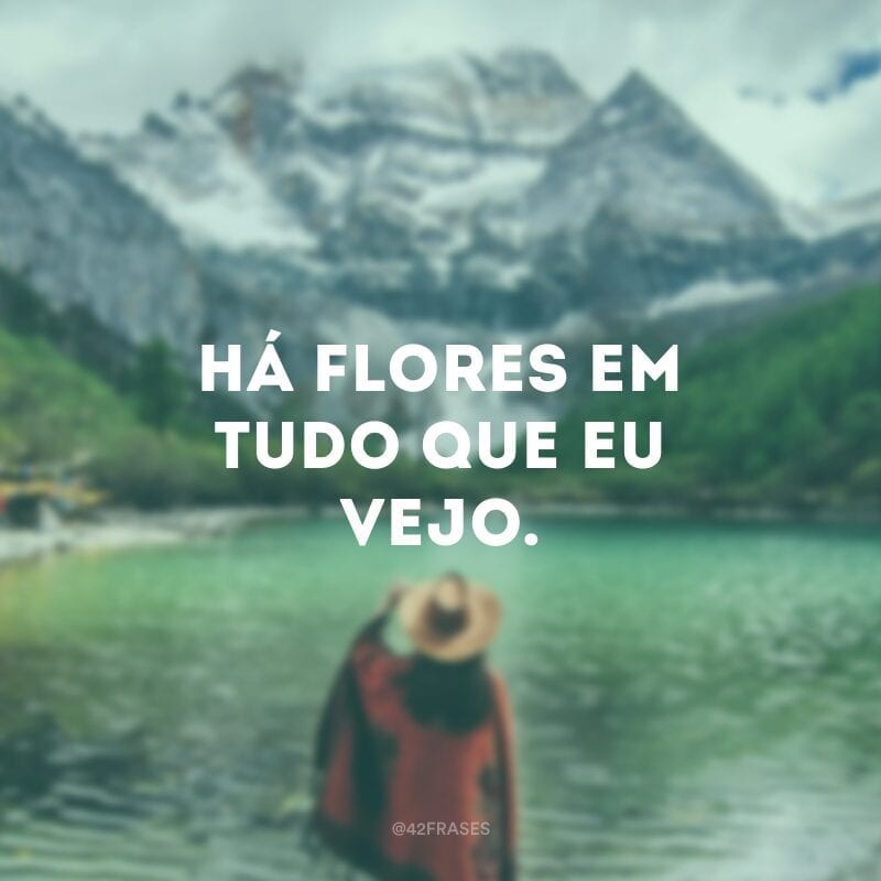 Há flores em tudo que eu vejo.