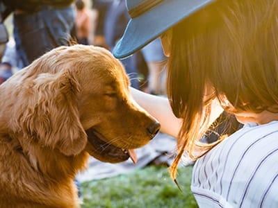 60 legendas para foto com cachorro para demonstrar seu amor de dono