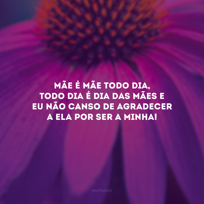 Mãe é mãe todo dia, todo dia é dia das mães e eu não canso de agradecer a ela por ser a minha!