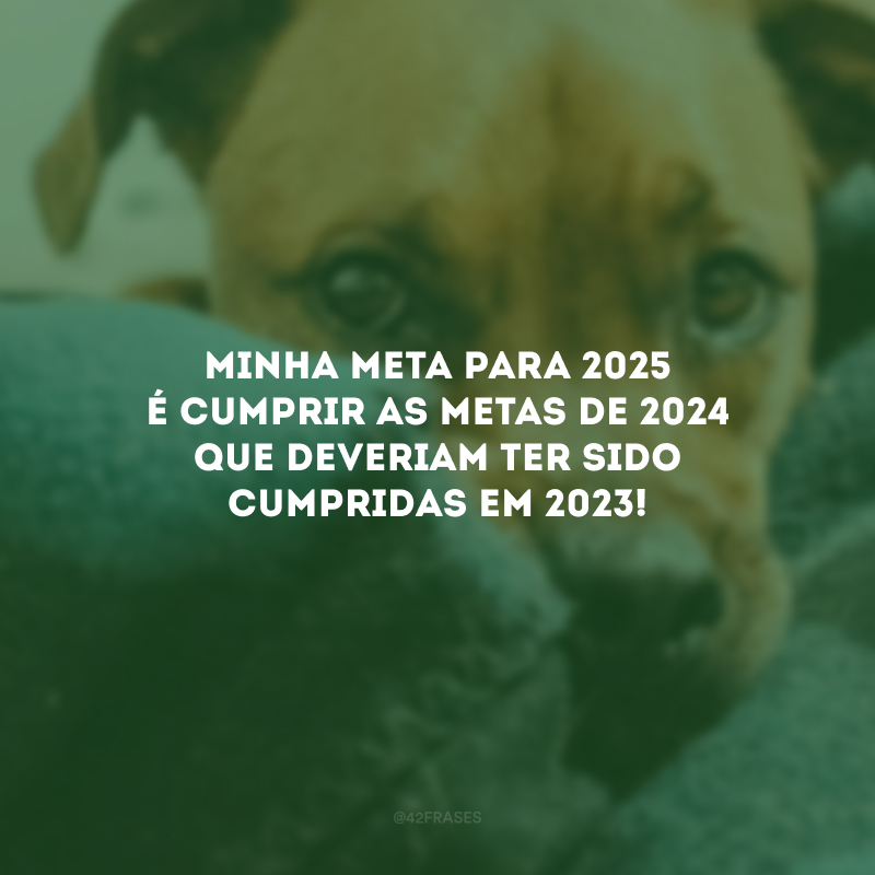 Minha meta para 2025 é cumprir as metas de 2024 que deveriam ter sido cumpridas em 2023!