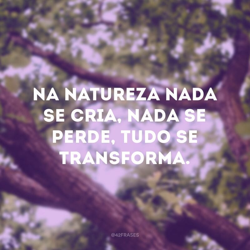 Na natureza nada se cria, nada se perde, tudo se transforma. 