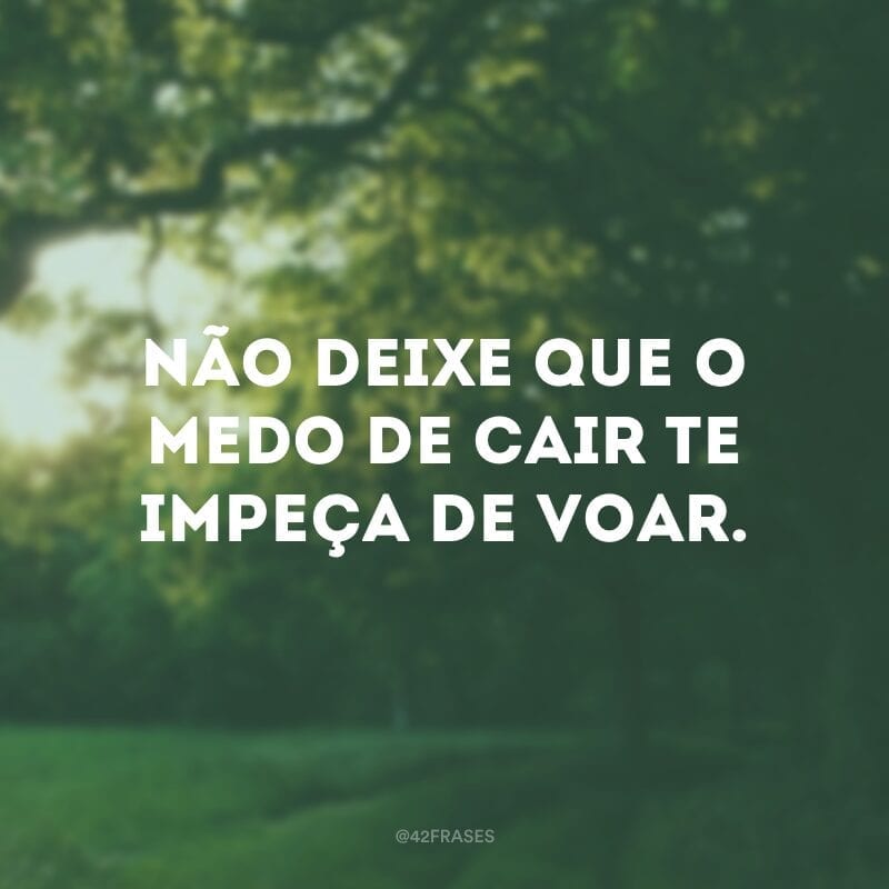 Não deixe que o medo de cair te impeça de voar.