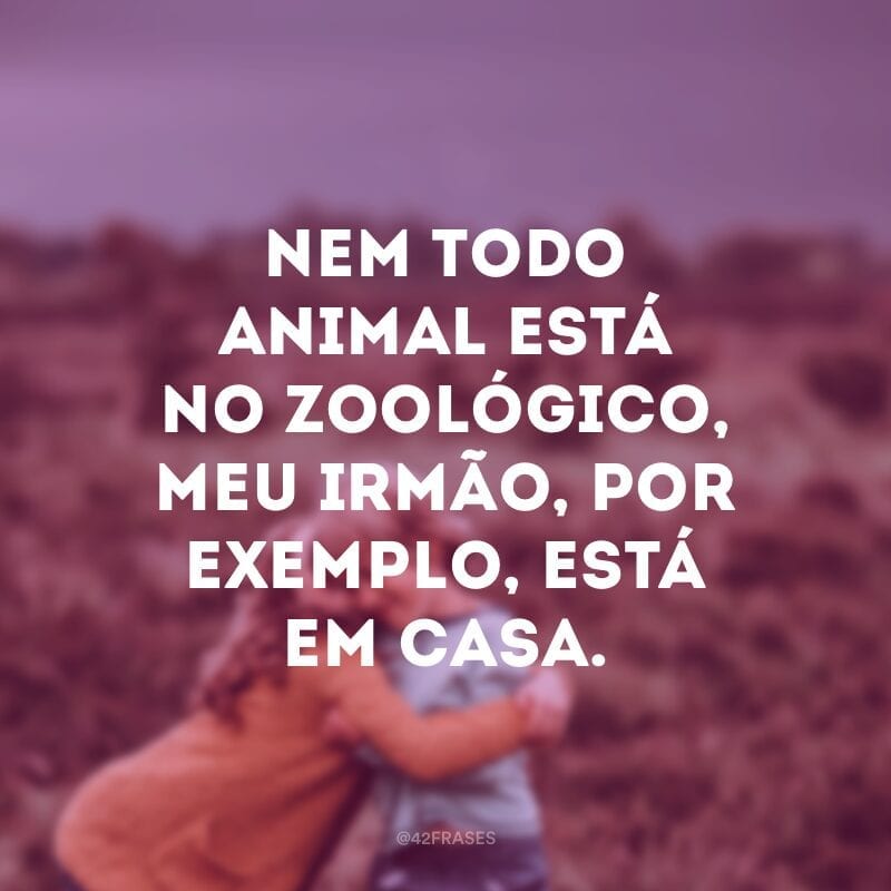 Nem todo animal está no zoológico, meu irmão, por exemplo, está em casa.