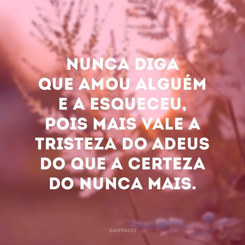 Nunca diga que amou alguém e a esqueceu, pois mais vale a tristeza do adeus do que a certeza do nunca mais.