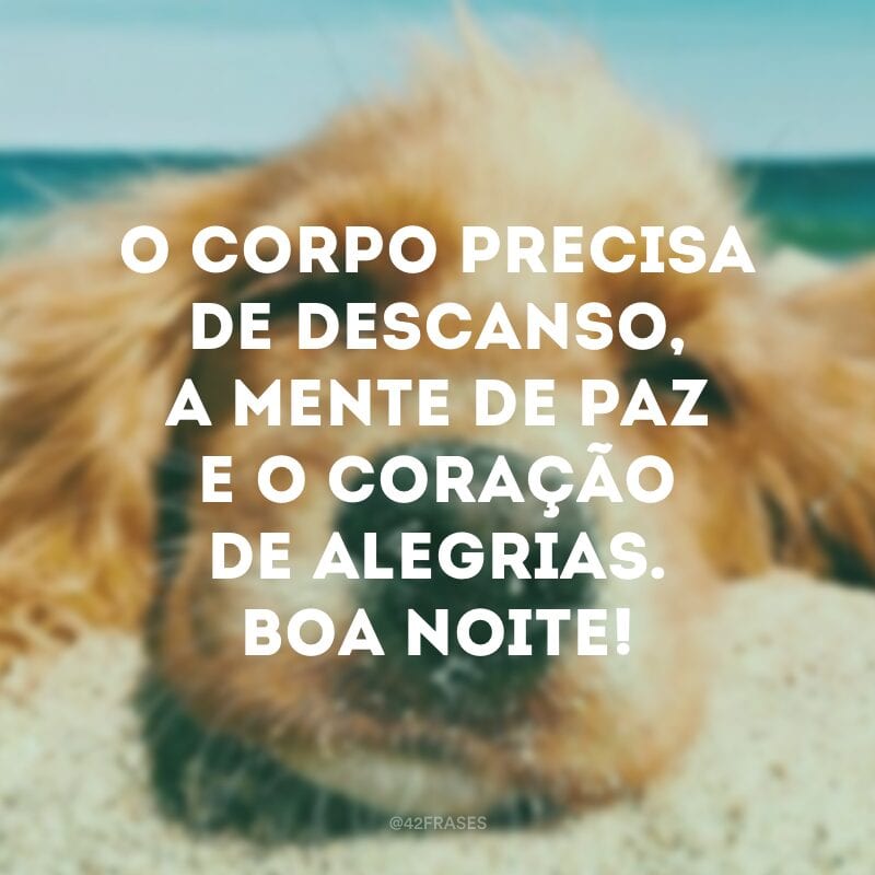 O corpo precisa de descanso, a mente de paz e o coração de alegrias. Boa noite!