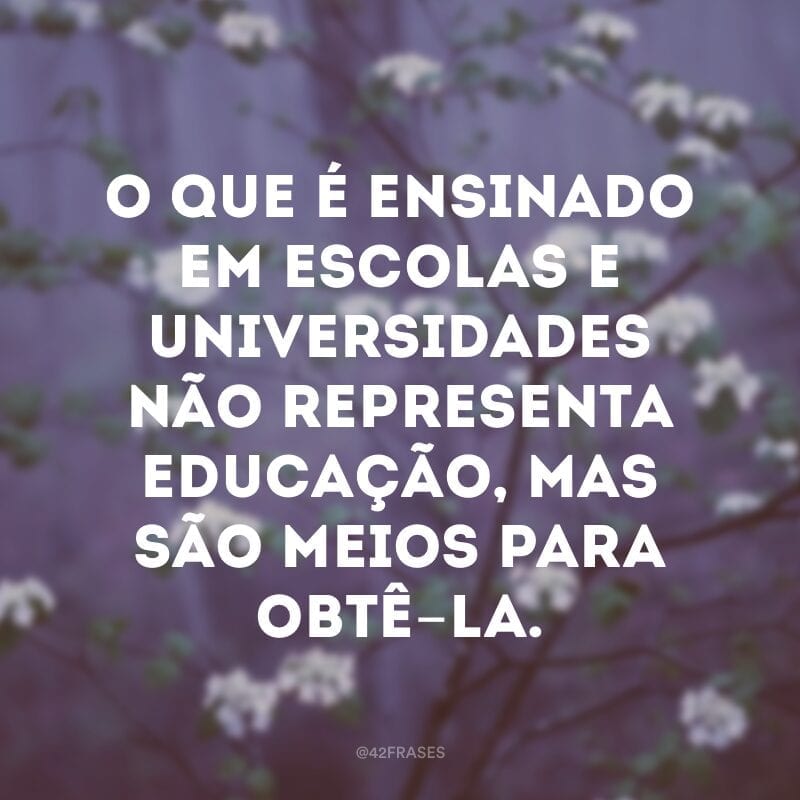 O que é ensinado em escolas e universidades não representa educação, mas são meios para obtê-la. 