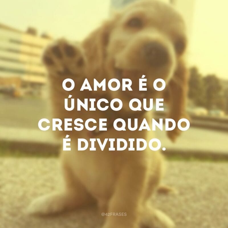 O amor é o único que cresce quando é dividido.