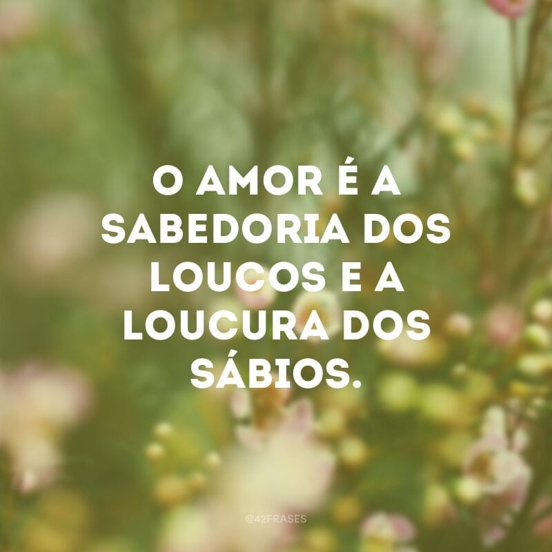 O amor é a sabedoria dos loucos e a loucura dos sábios. 