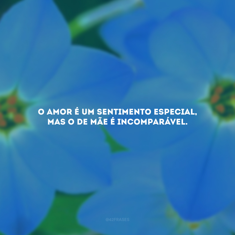 O amor é um sentimento especial, mas o de mãe é incomparável.