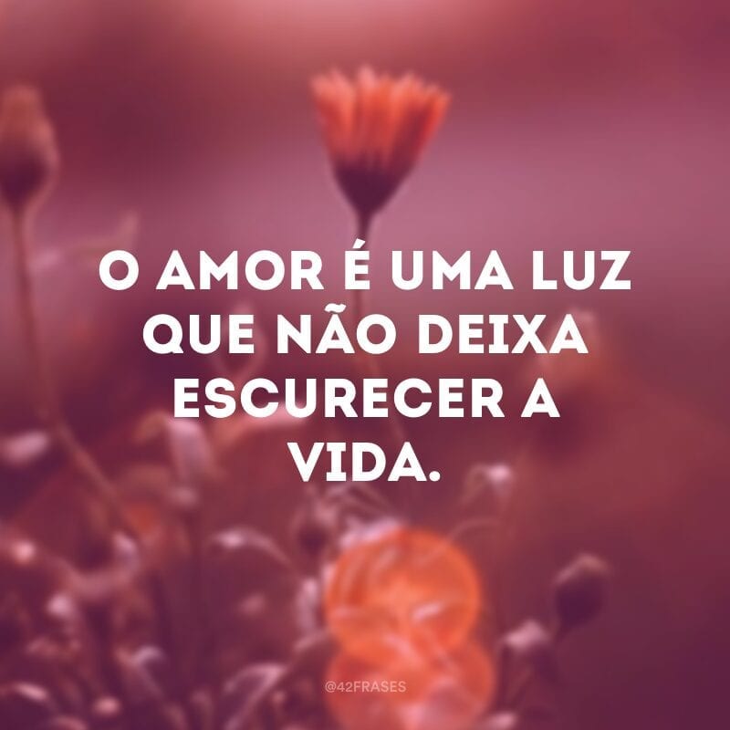 O amor é uma luz que não deixa escurecer a vida. 