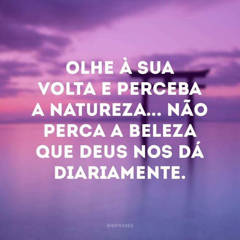 Olhe à sua volta e perceba a natureza... Não perca a beleza que Deus nos dá diariamente.