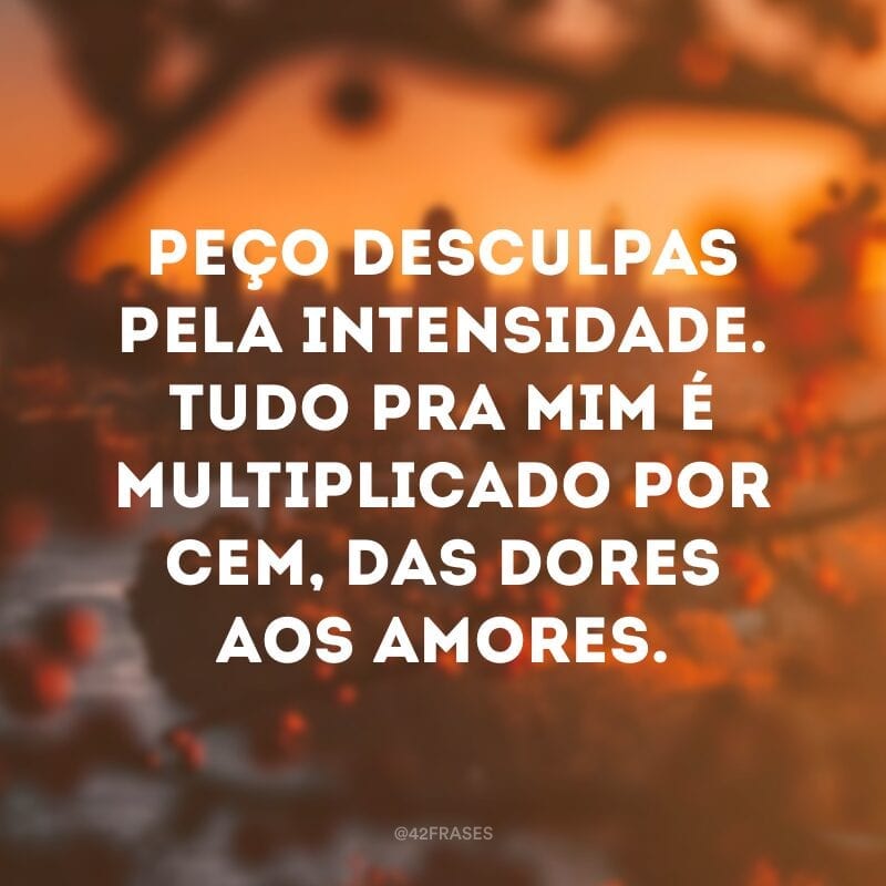 Peço desculpas pela intensidade. Tudo pra mim é multiplicado por cem, das dores aos amores.