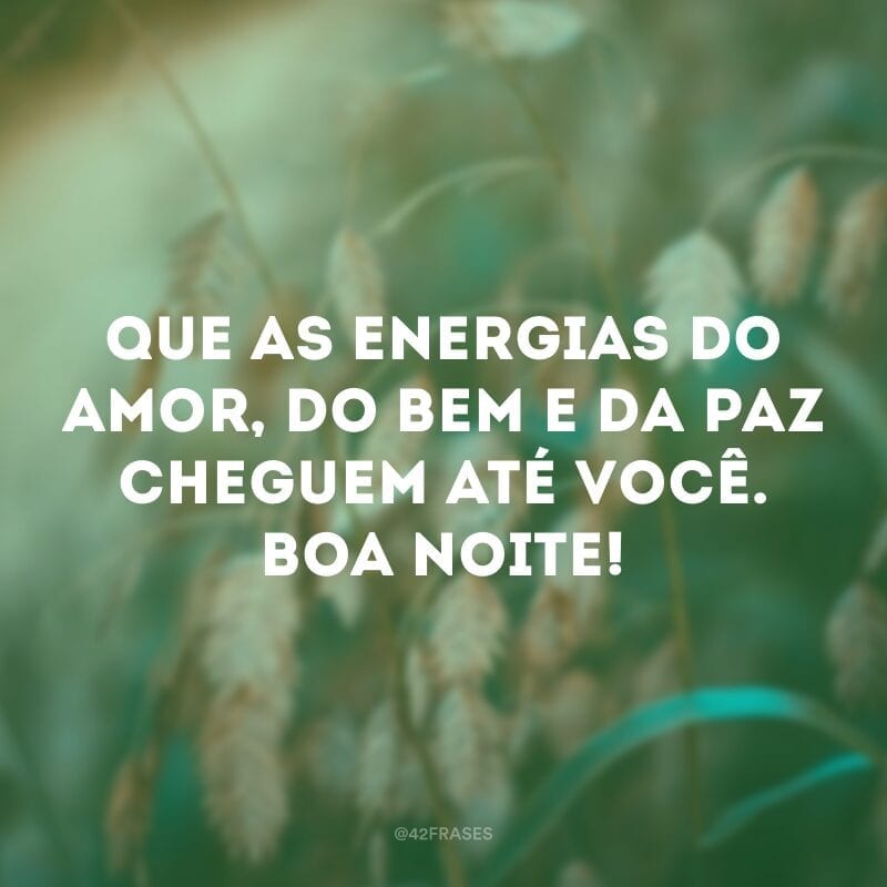 Que as energias do amor, do bem e da paz cheguem até você. Boa noite!