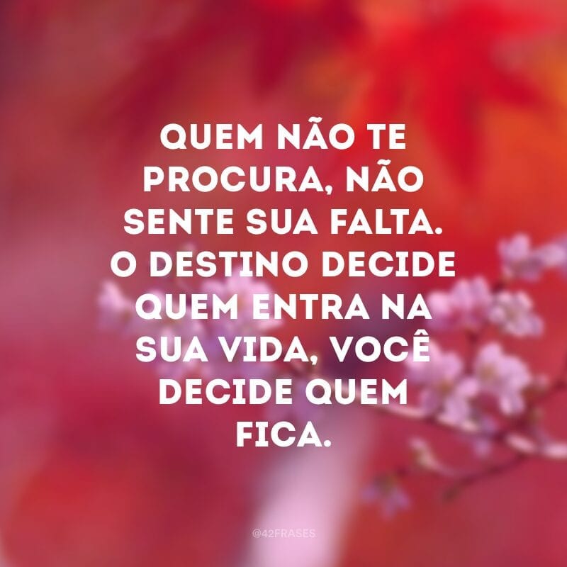 Quem não te procura, não sente sua falta. O destino decide quem entra na sua vida, você decide quem fica.