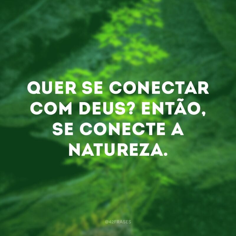 Quer se conectar com Deus? Então, se conecte a natureza.