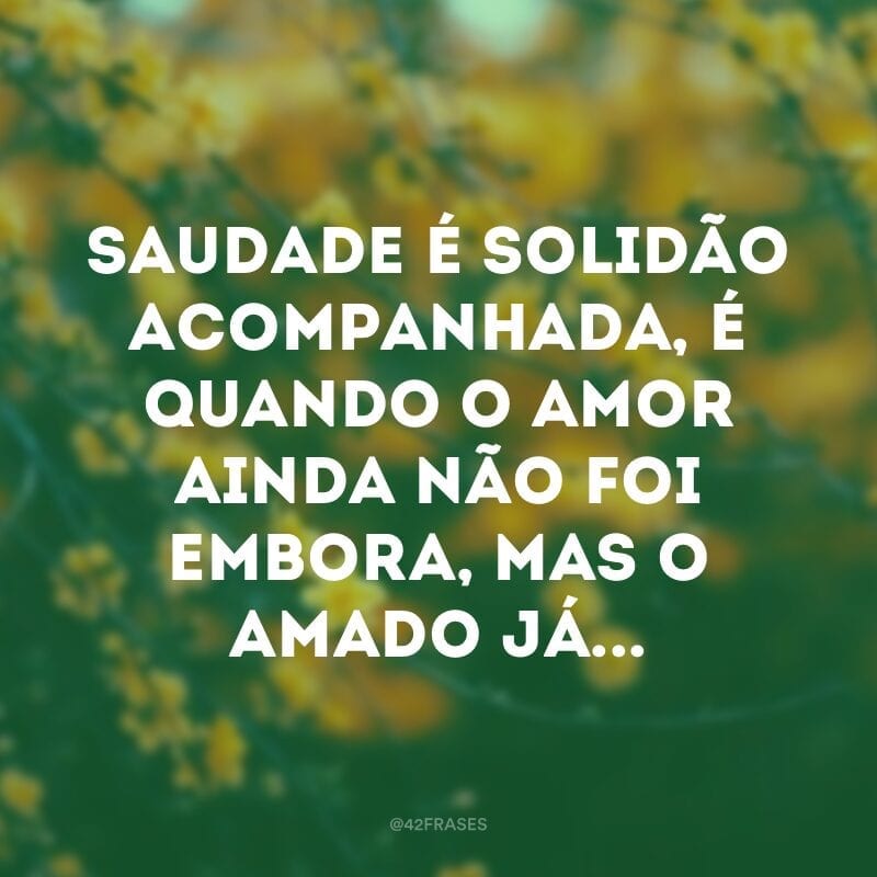 Saudade é solidão acompanhada, é quando o amor ainda não foi embora, mas o amado já...