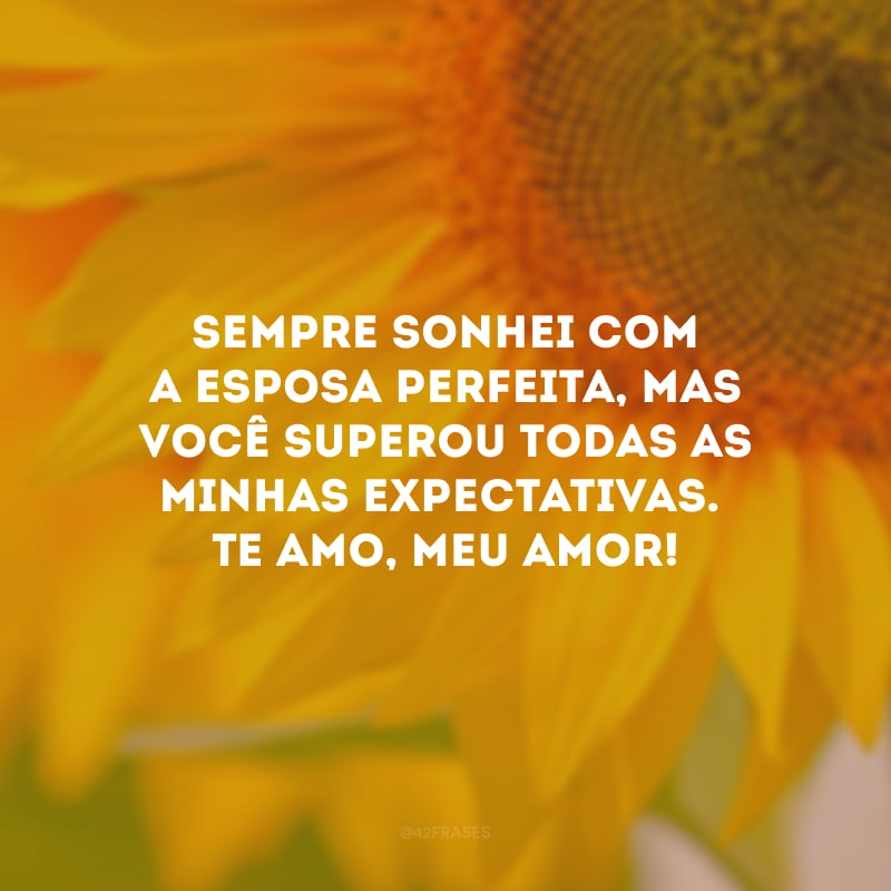 Sempre sonhei com a esposa perfeita, mas você superou todas as minhas expectativas. Te amo, meu amor!