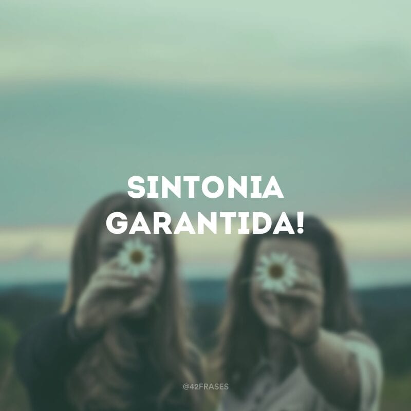 Sintonia garantida!