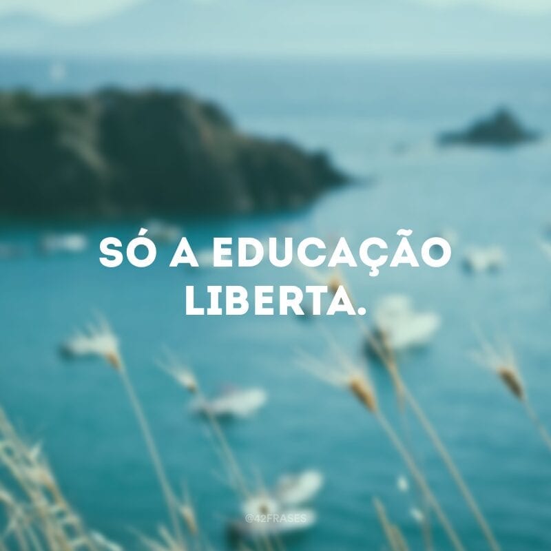 Só a educação liberta.