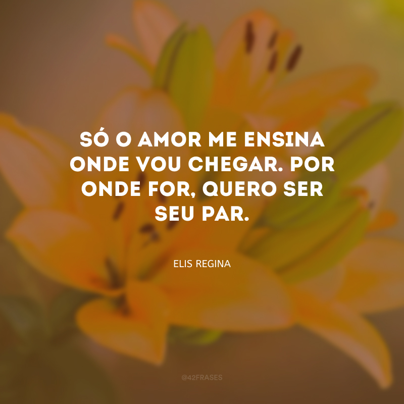 Só o amor me ensina onde vou chegar. Por onde for, quero ser seu par.