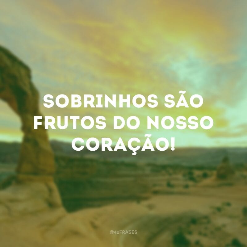 Sobrinhos são frutos do nosso coração!