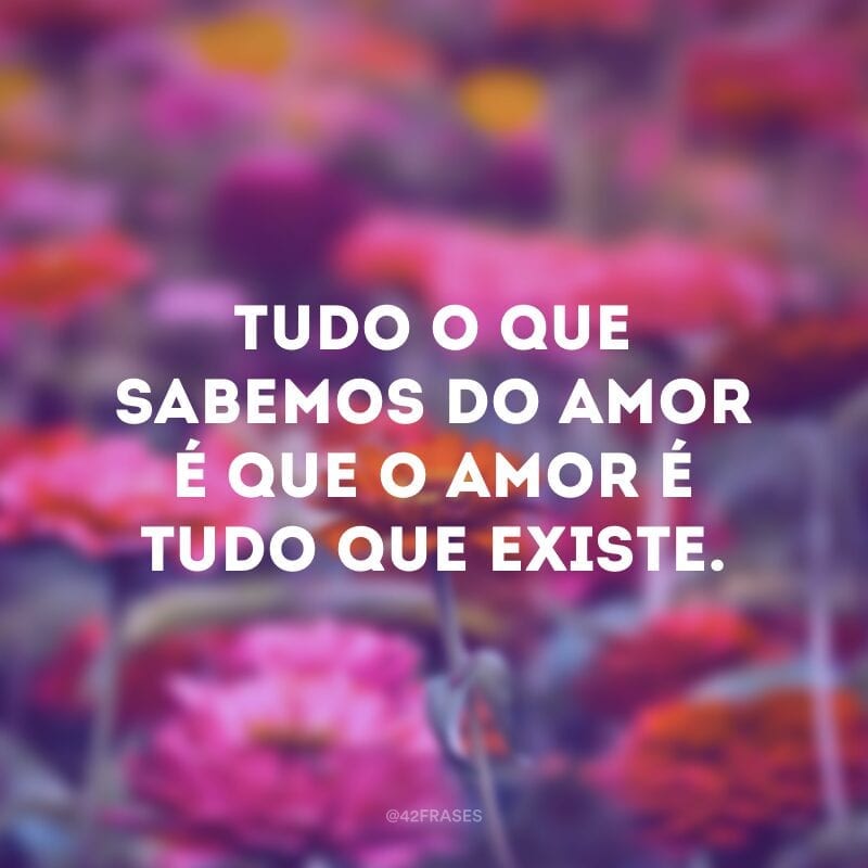 Tudo o que sabemos do amor é que o amor é tudo que existe.