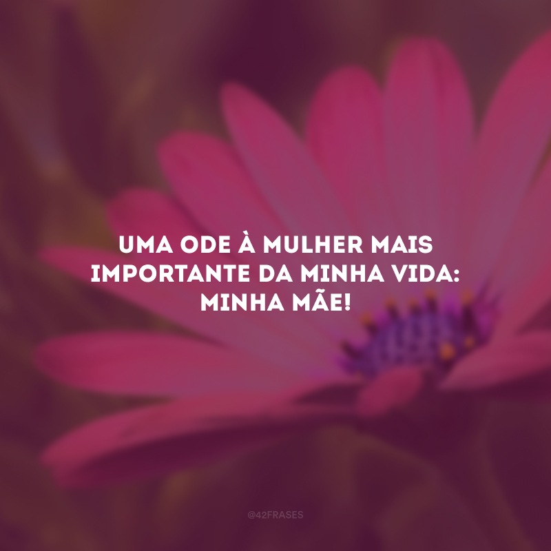 Uma ode à mulher mais importante da minha vida: minha mãe!